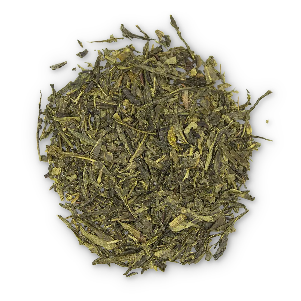 Bio Sencha Zheijang Tee kaufen 